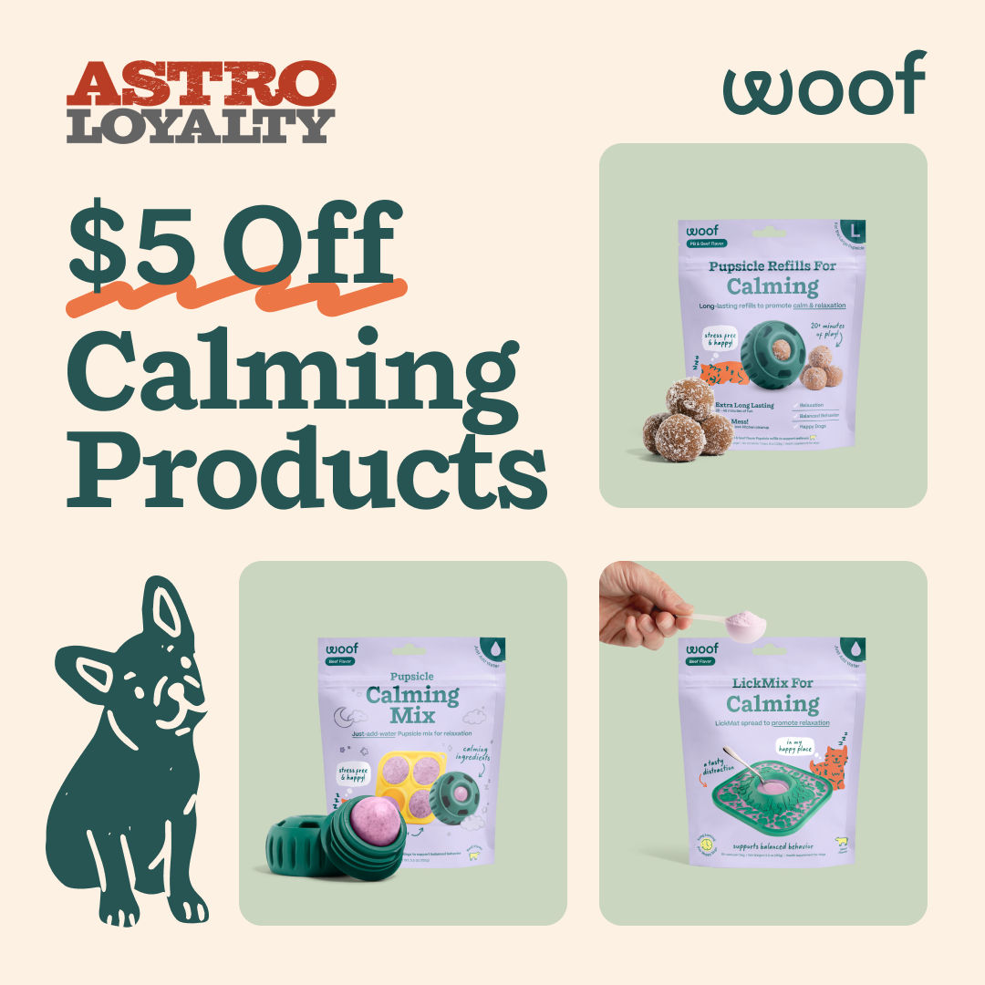 Pet Spa Places For Dog Grooming Near Me Grooming Spa Pet Stylist