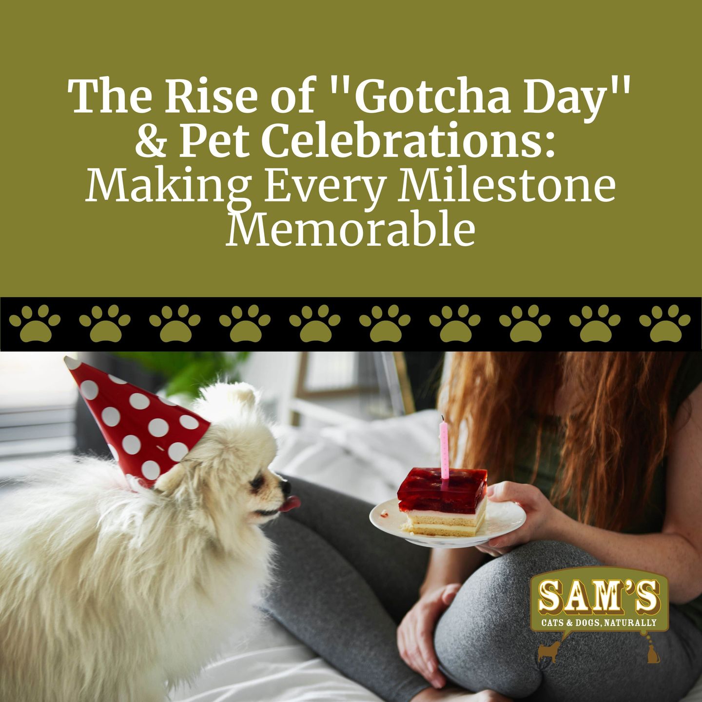 The Rise of "Gotcha Day" & Pet Celebrations: Making Every Milestone Memorable