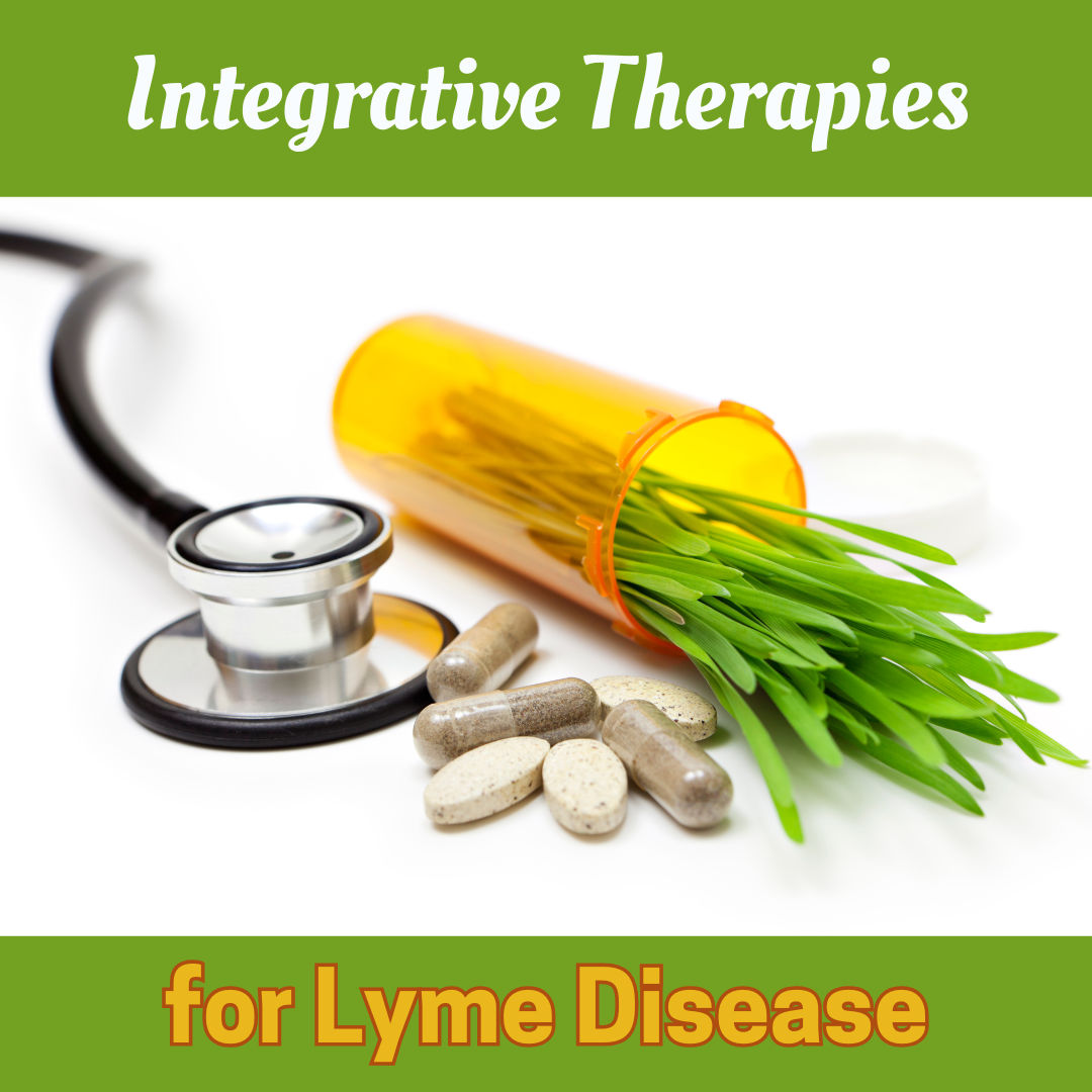 Integrative Care for Lyme Disease in Pets