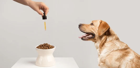 Selecting Suitable Supplements!