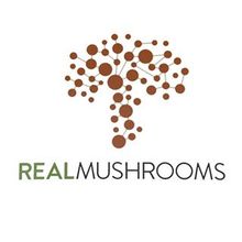 Real Mushrooms Spring Grove Illinois