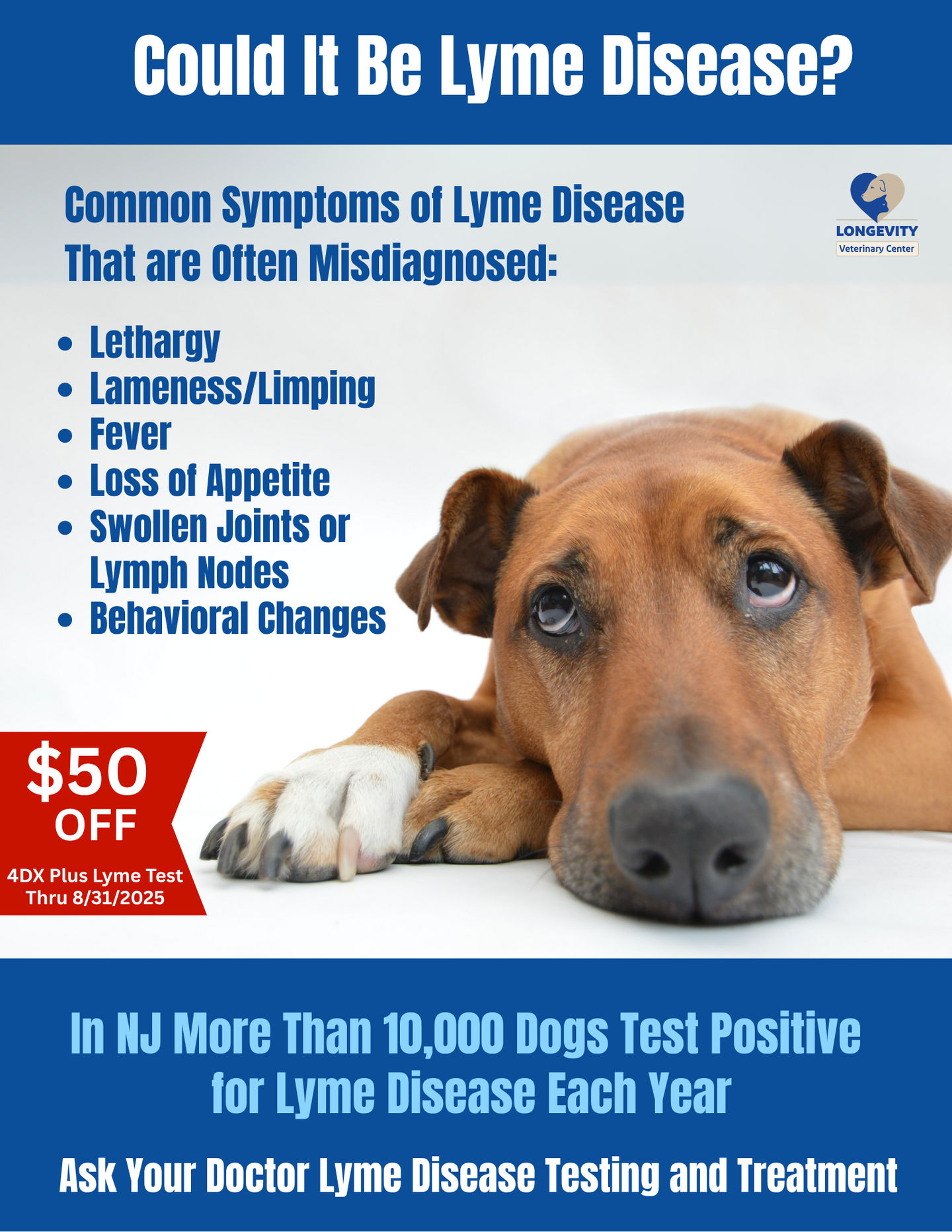 Tick Fever Dog Fever Lethargy No Appetite Save On Lyme Testing