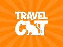 Travel Cat Marion Illinois