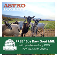 Image of Solutions Pet Products | FREE Pint of Cultured Raw Goat Milk with DOGh Purchase Promotion in New Berlin