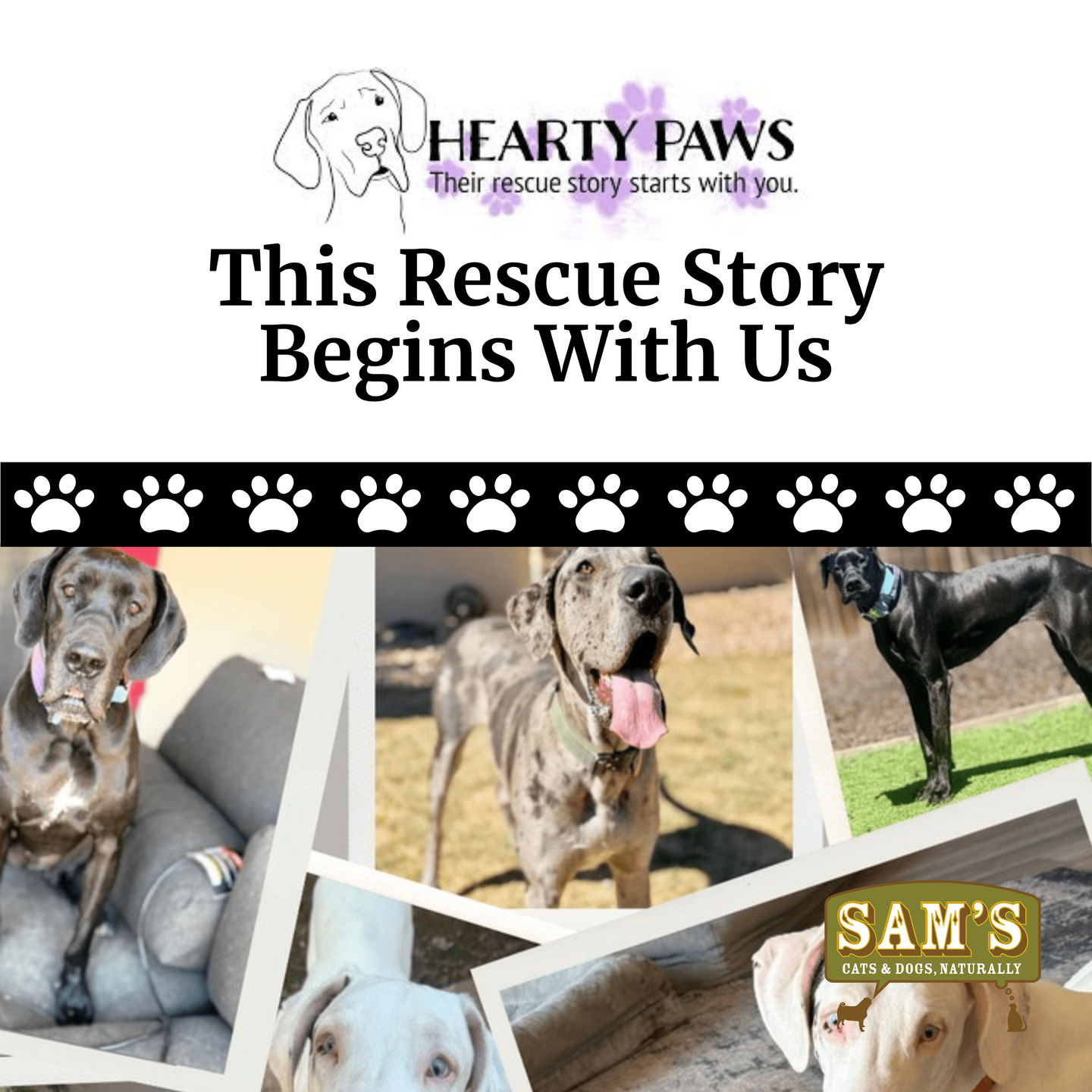 This Rescue Story Begins With Us