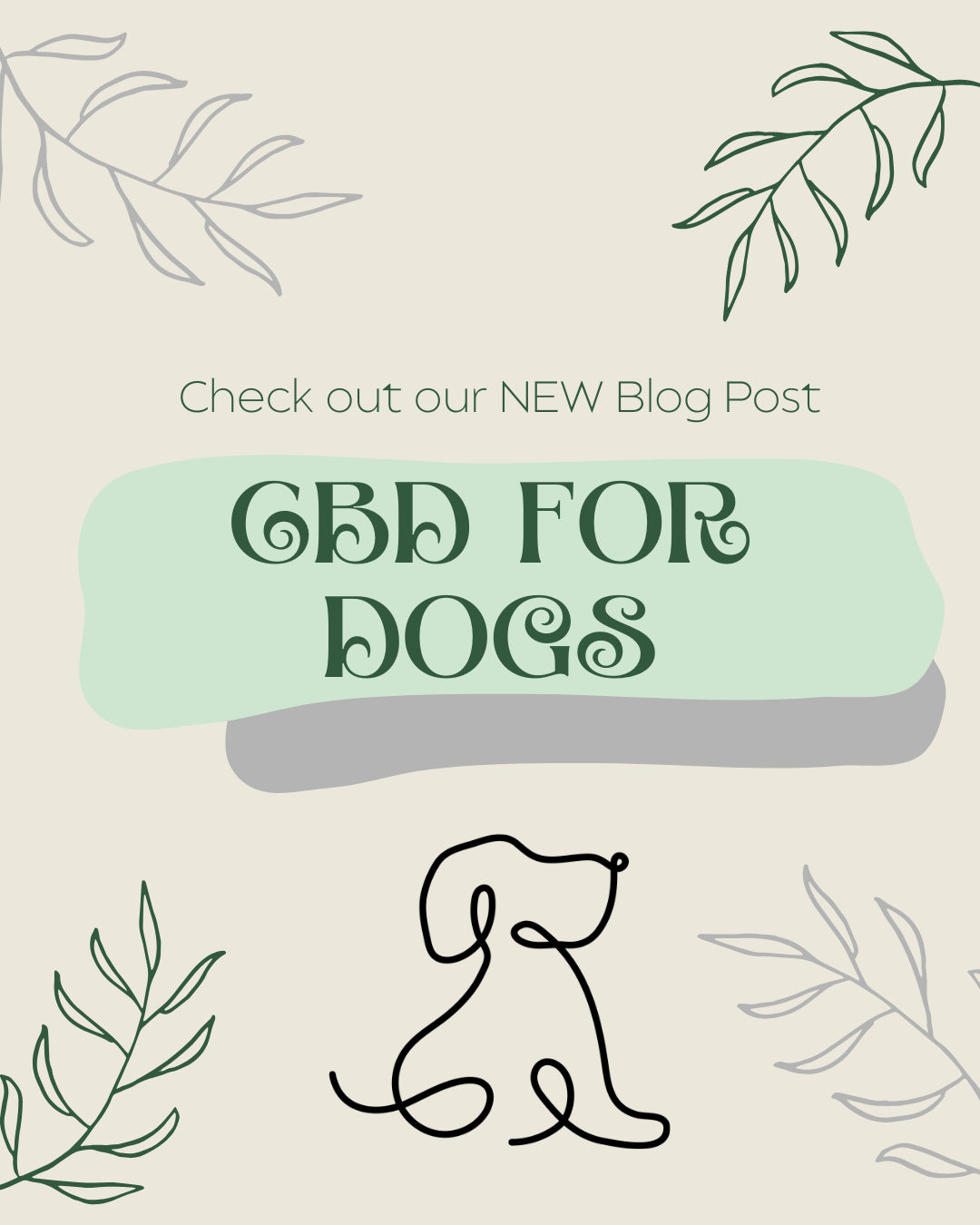 CBD For Dogs