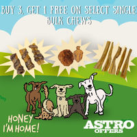 Image of Honey I'm Home | Buy 3, Get 1 FREE on Select Single Bulk Chews Promotion in Tewksbury