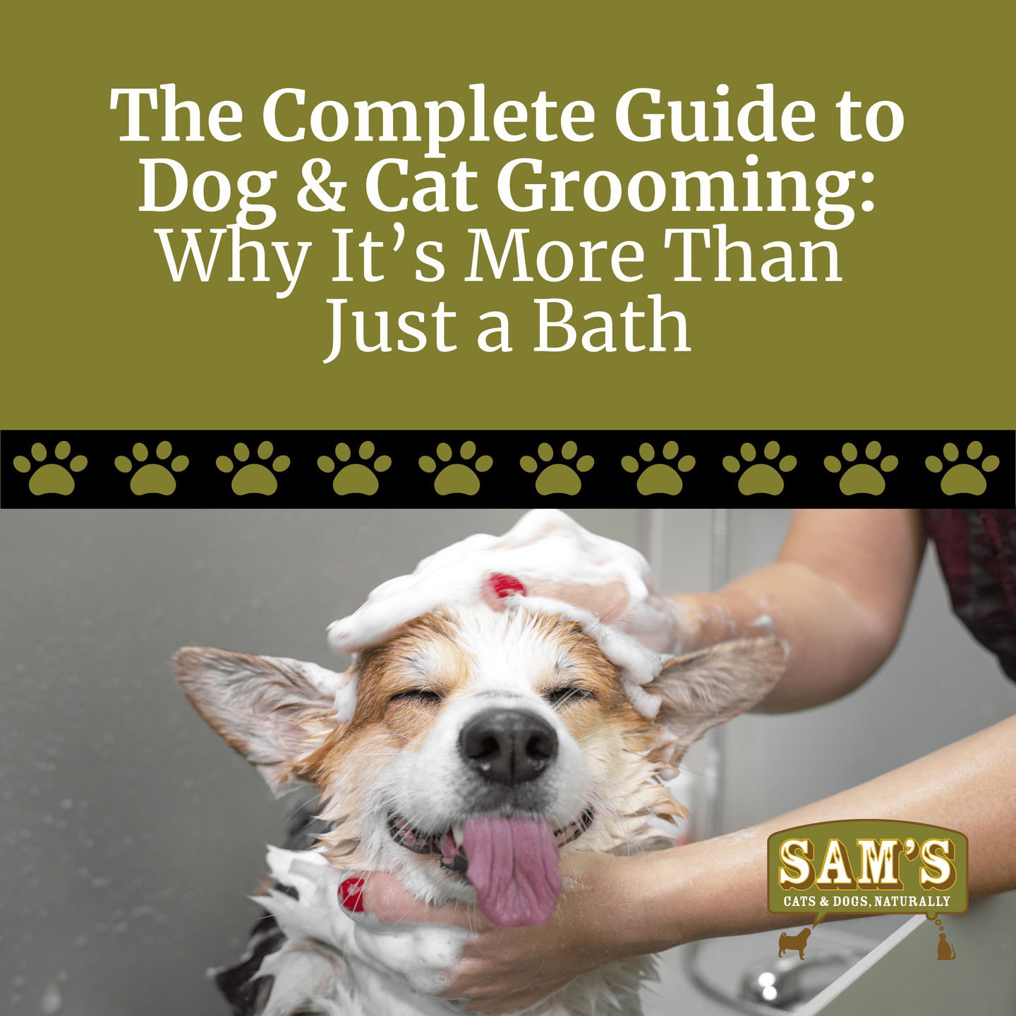 The Complete Guide to Dog & Cat Grooming: Why It’s More Than Just a Bath