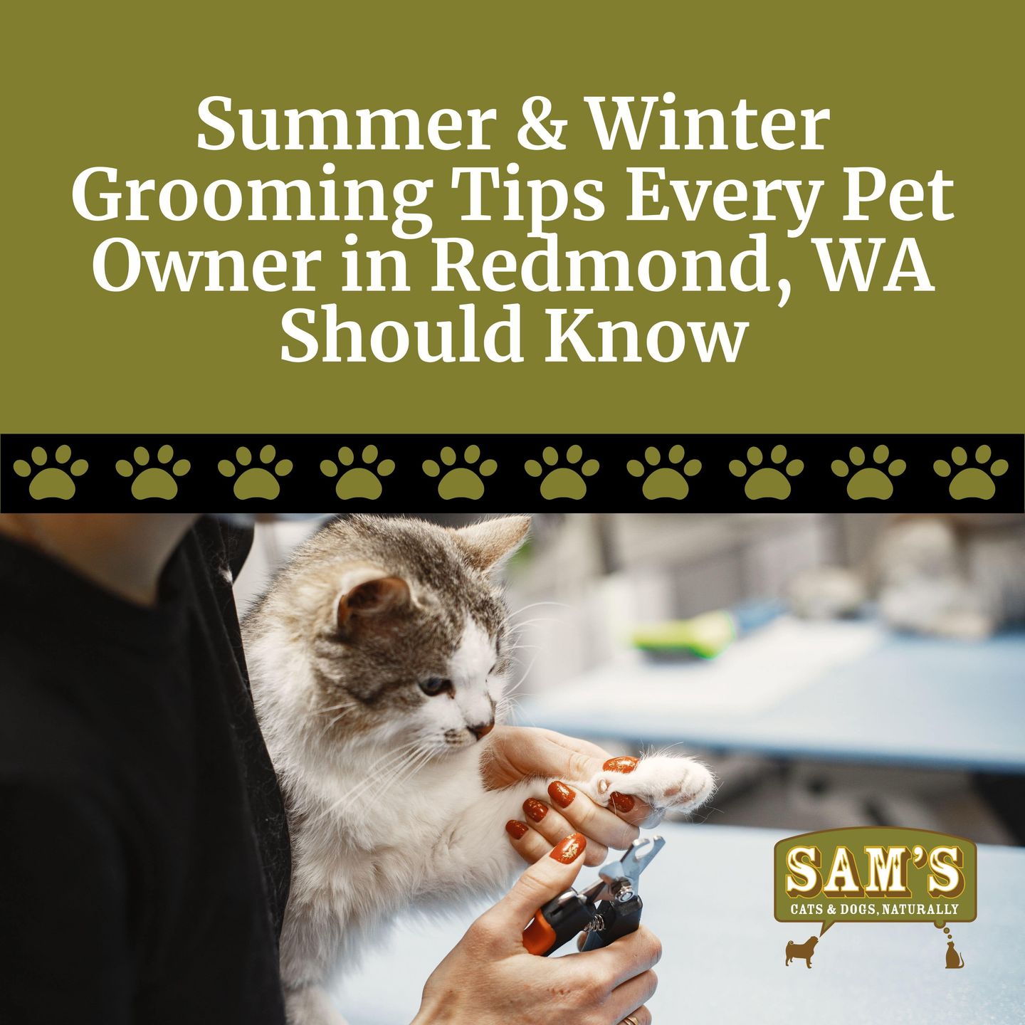 Summer & Winter Grooming Tips Every Pet Owner in Redmond, WA Should Know
