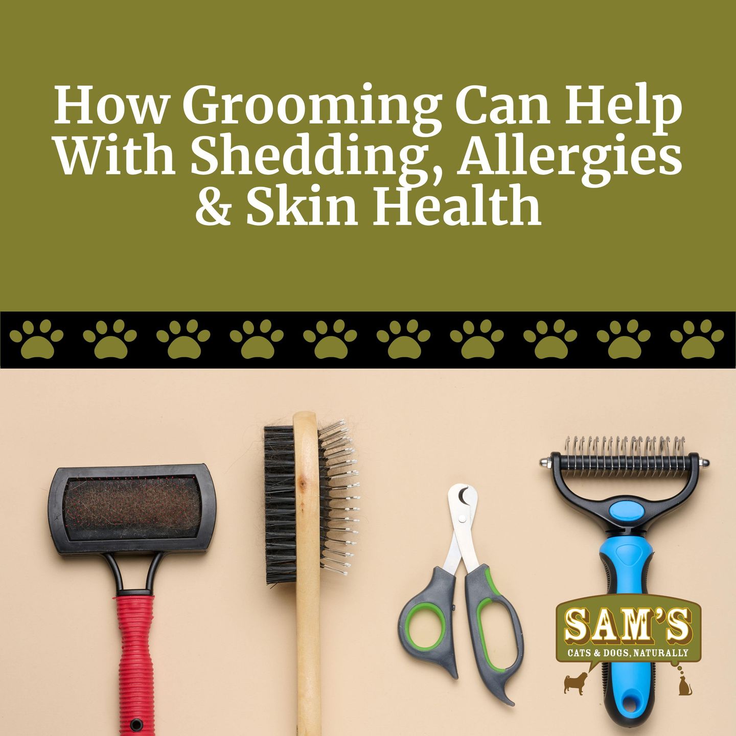 How Grooming Can Help With Shedding, Allergies & Skin Health