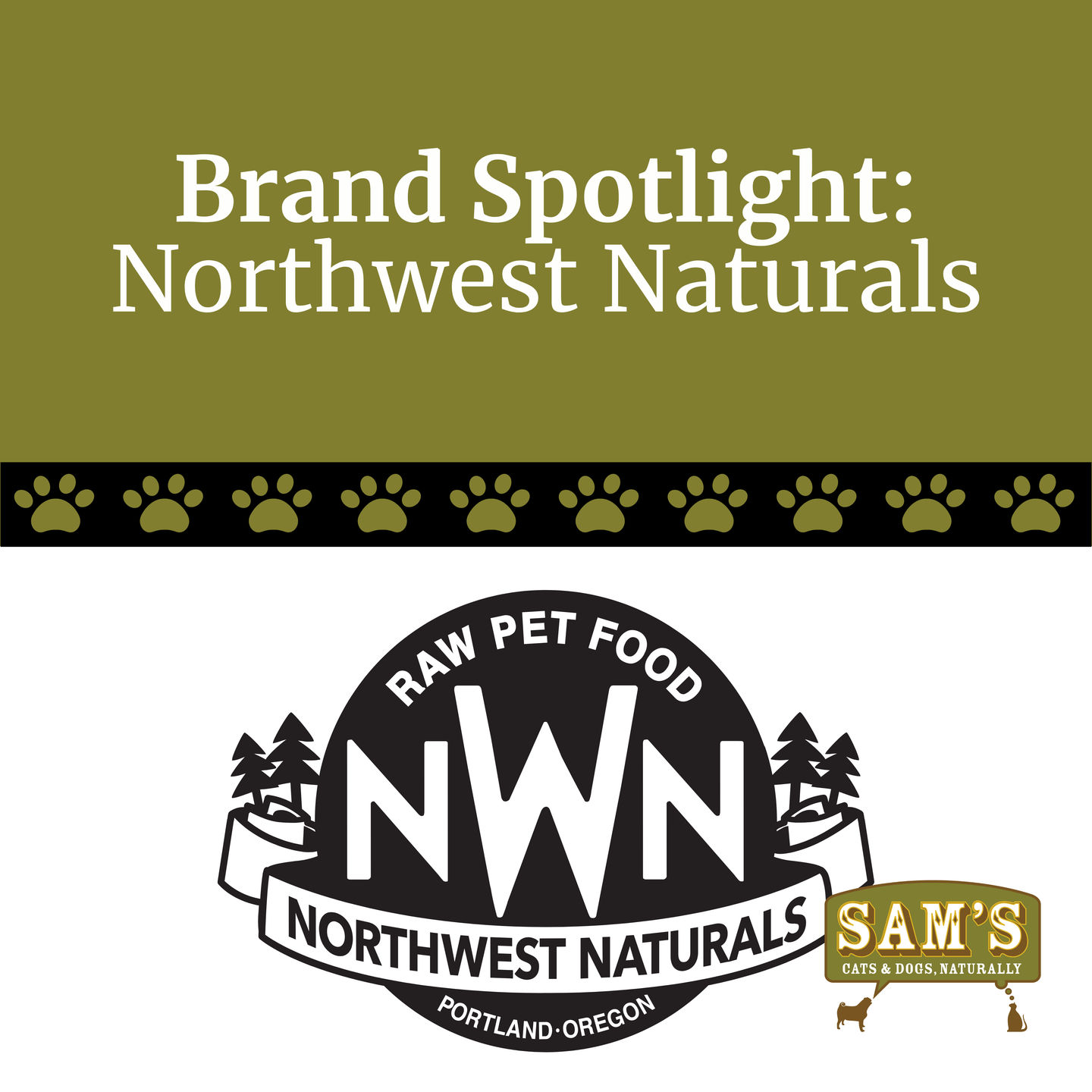 Brand Spotlight: Northwest Naturals — Local Favorite, Big Benefits