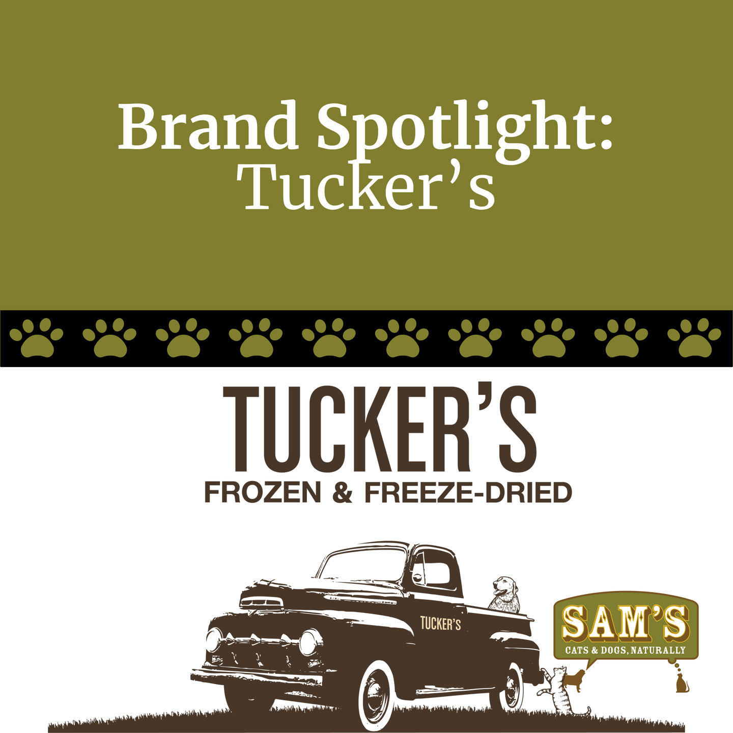 Brand Spotlight: Tucker’s — Raw Food Made with Care