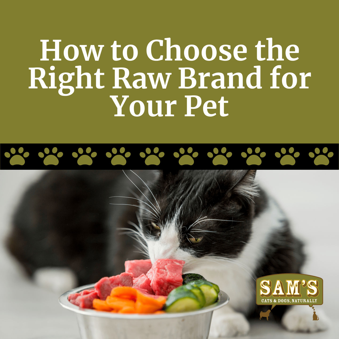 How to Choose the Right Raw Brand for Your Pet