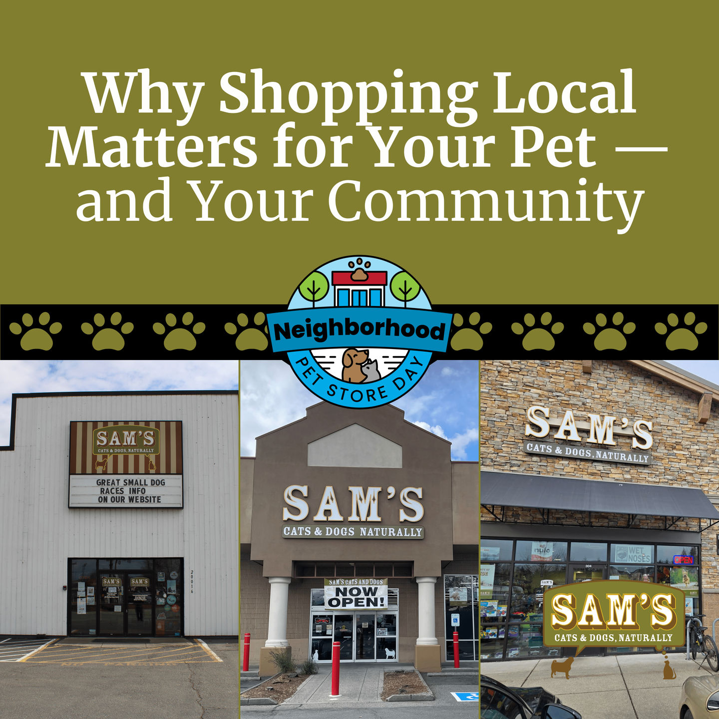 Why Shopping Local Matters for Your Pet — and Your Community