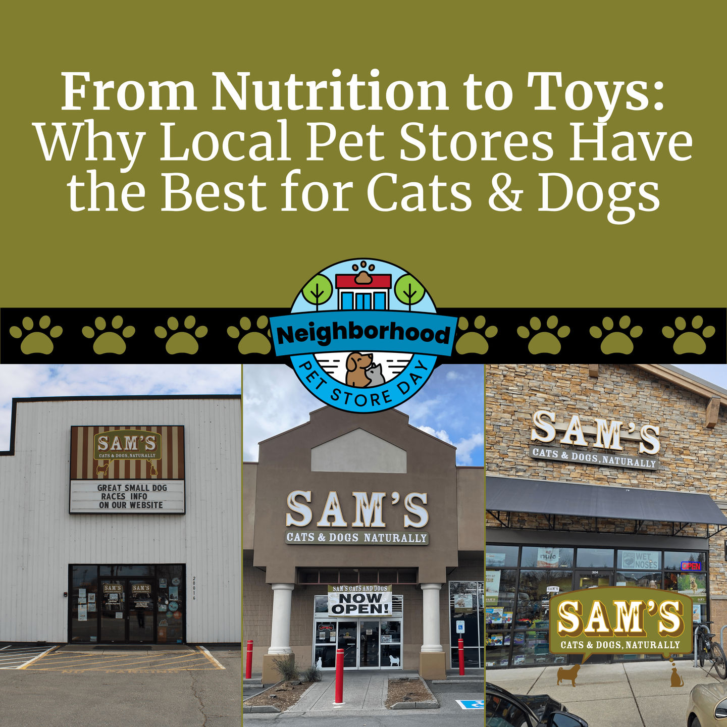 From Nutrition to Toys: Why Local Pet Stores Have the Best for Cats & Dogs