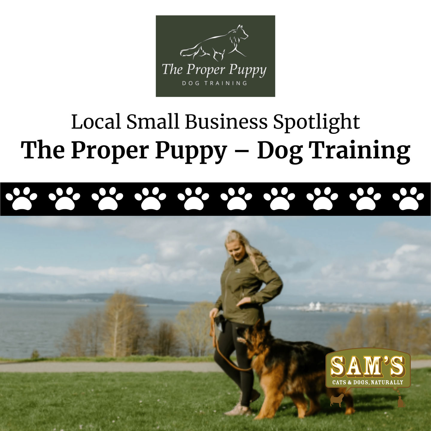 Small Business Spotlight | The Proper Puppy – Dog Training in Snohomish County, WA