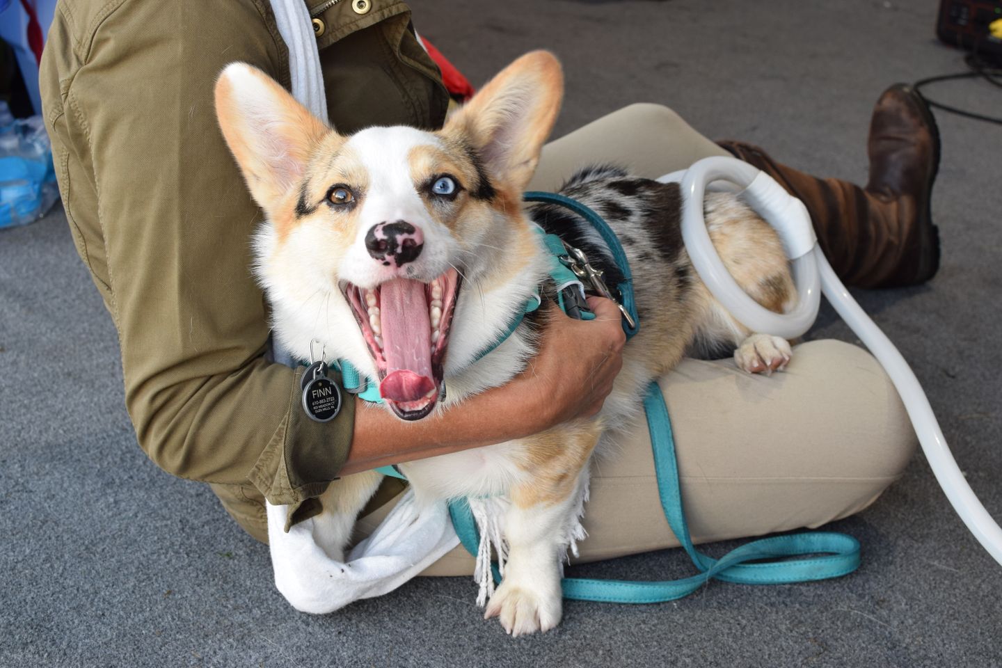 PEMF Therapy