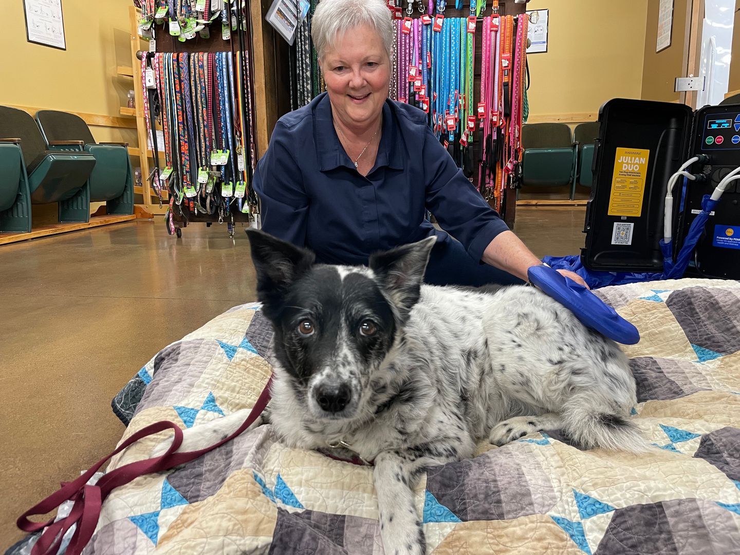Deb Brady with Sheba