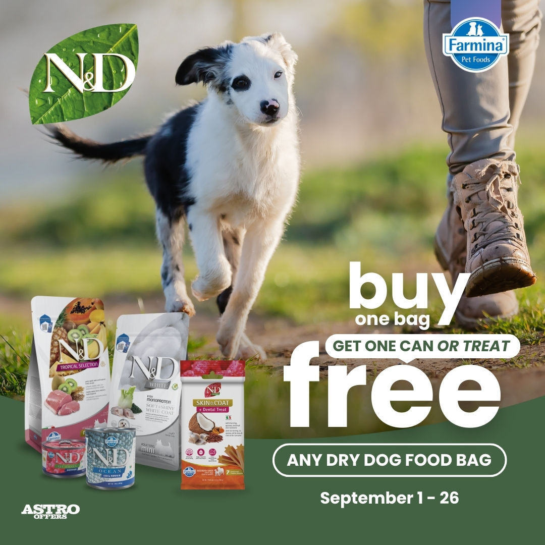 Dog Food Only Natural Pet Chewy Pet Supplies Petco Only Natural