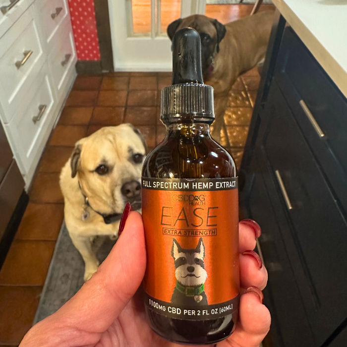 CBD for Hip & Joint Issues in Dogs: Does It Help?