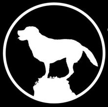 The Naked Dog Salt Lake City Utah