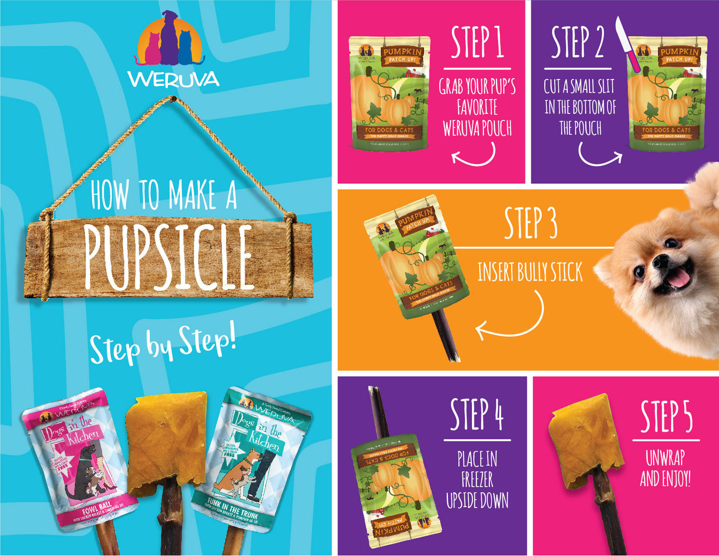 DIY Pupsicle Step by Step