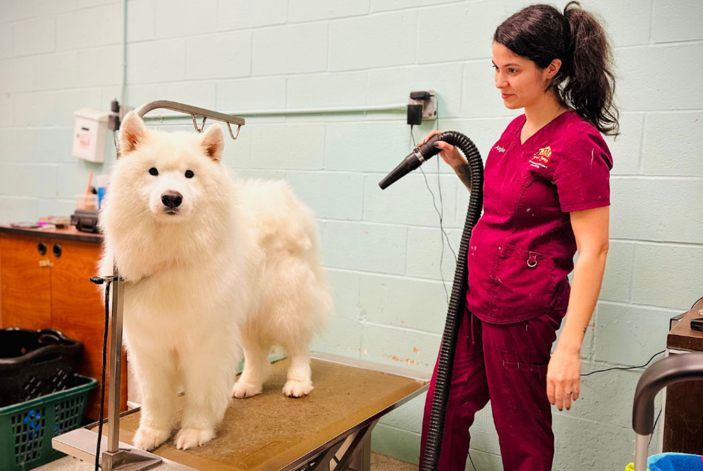 Why Year-Round Grooming is Essential for Your Pet’s Health