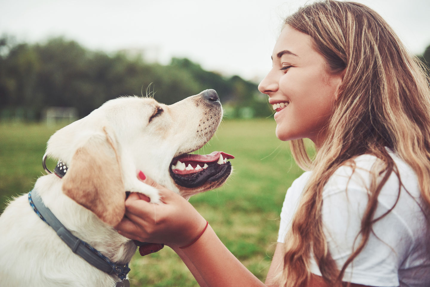 Part 3: Making It Happen - Your Foolproof Guide to Raw Food Success!