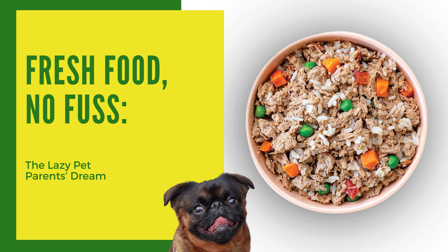 Fresh Food, No Fuss: The Lazy Pet Parent's Dream