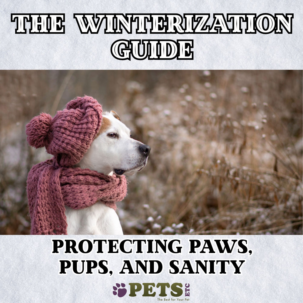 The Winterization Guide: Protecting Paws, Pups, and Sanity