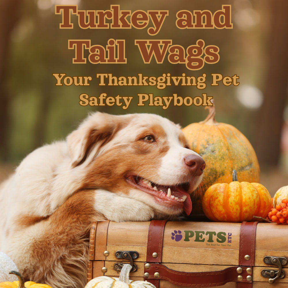 Turkey and Tail Wags: Your Thanksgiving Pet Safety Playbook