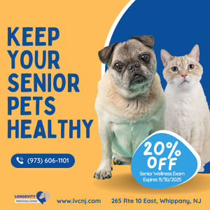 Keeping Senior Pets Healthy