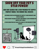 Image of Does Your Pet Have What It Takes To Be Our Pawfect Model?! Promotion in Milford