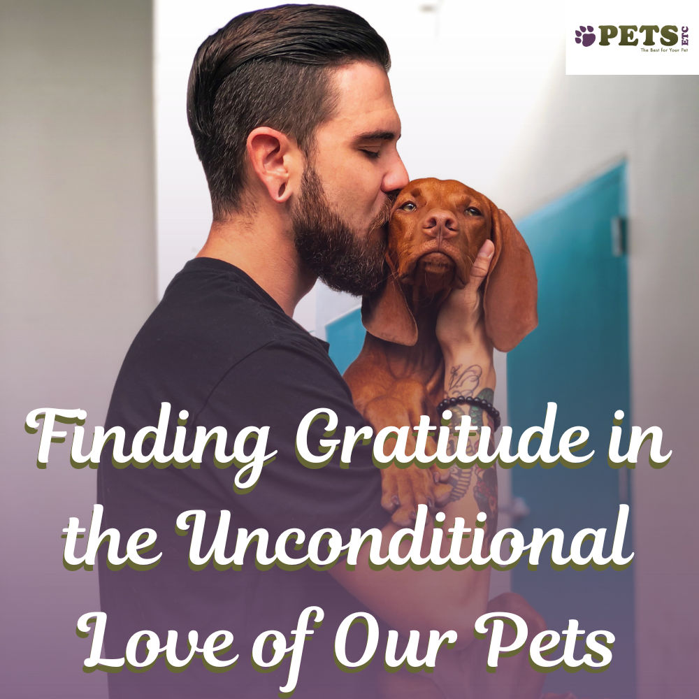 Finding Gratitude in the Unconditional Love of Our Pets