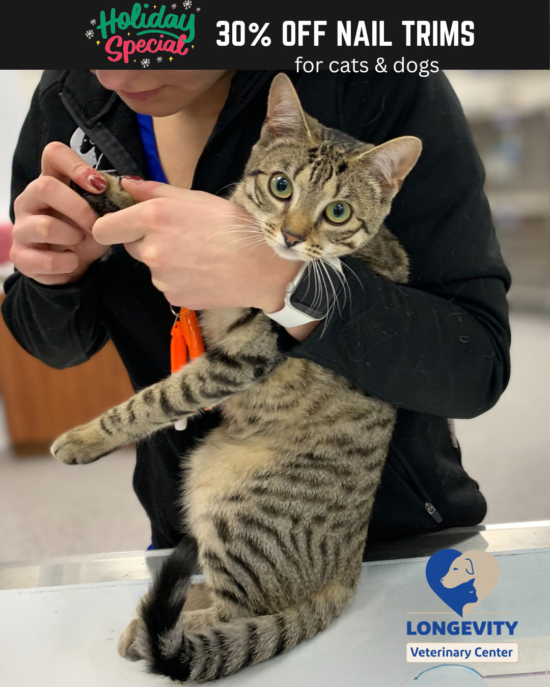 6 Reasons Why Dogs & Cats Need Regular Nail Trims 