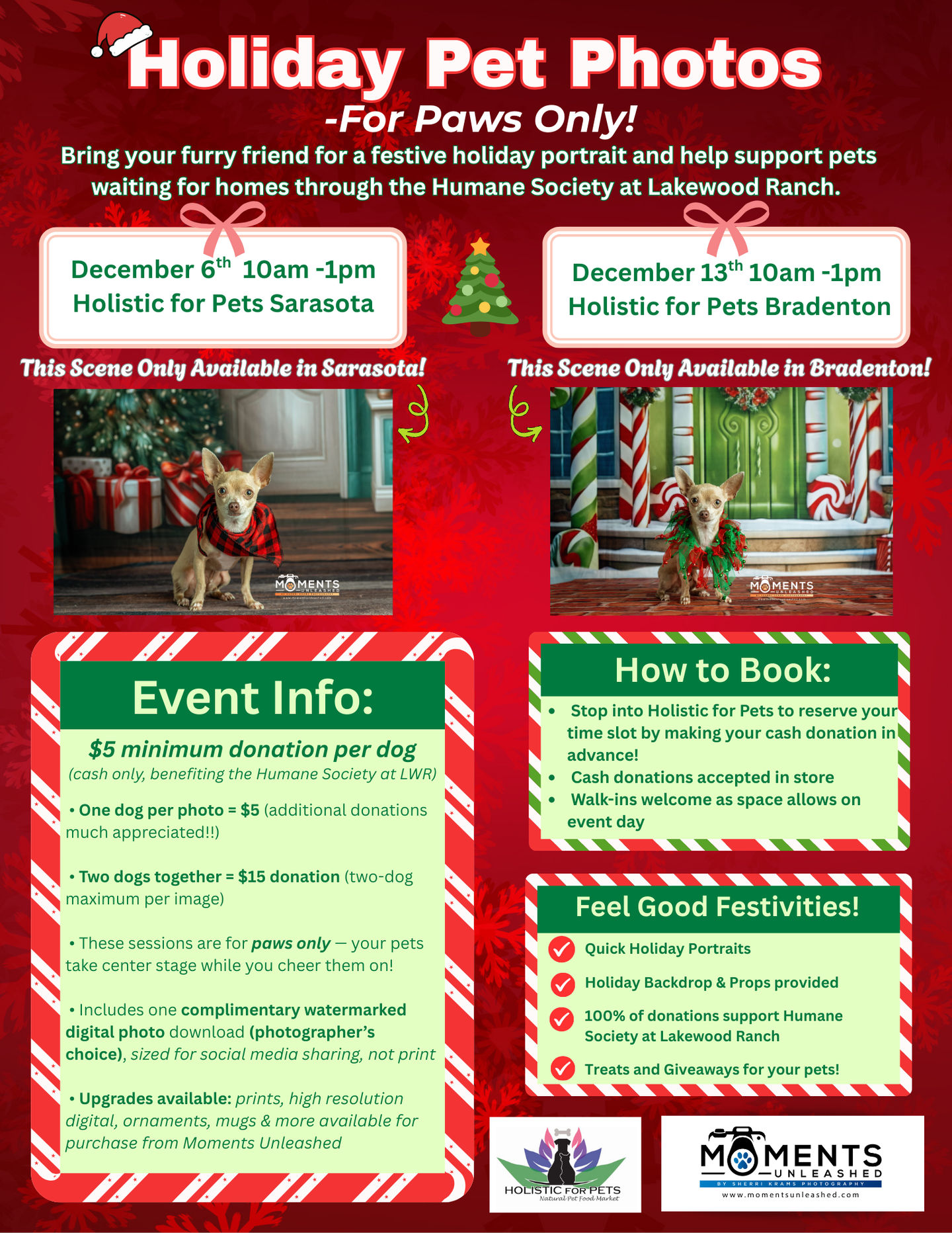 Image of Local Pet Event Holiday Pet Photos! Nearby