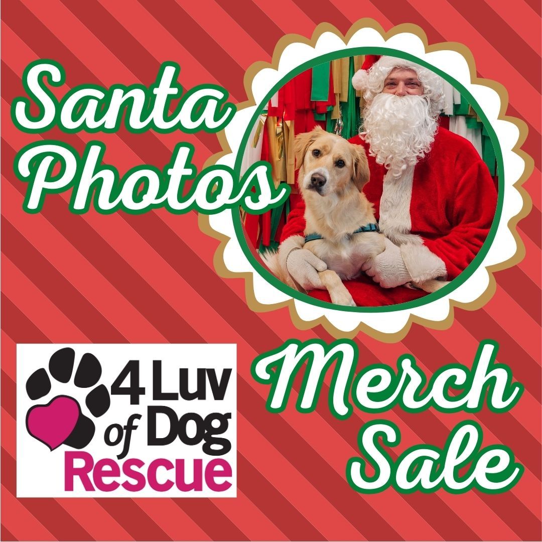 Image of Local Pet Event Santa Photos & 4 Luv of Dog Rescue Merch Sale - 19th Ave N Nearby