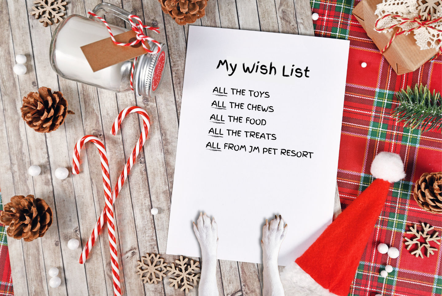 Gift Guide for Cats, Dogs, and Pet Parents