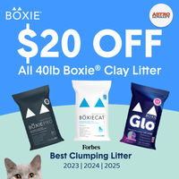 Image of Boxiecat | $20.00 OFF 40lb BOXIE Clay Litter Promotion in Detroit