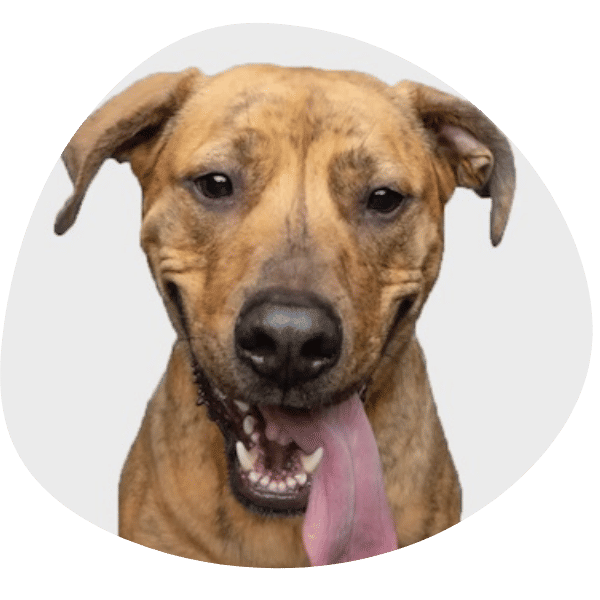 Luca’s Pet Nutrition Center in Cleveland