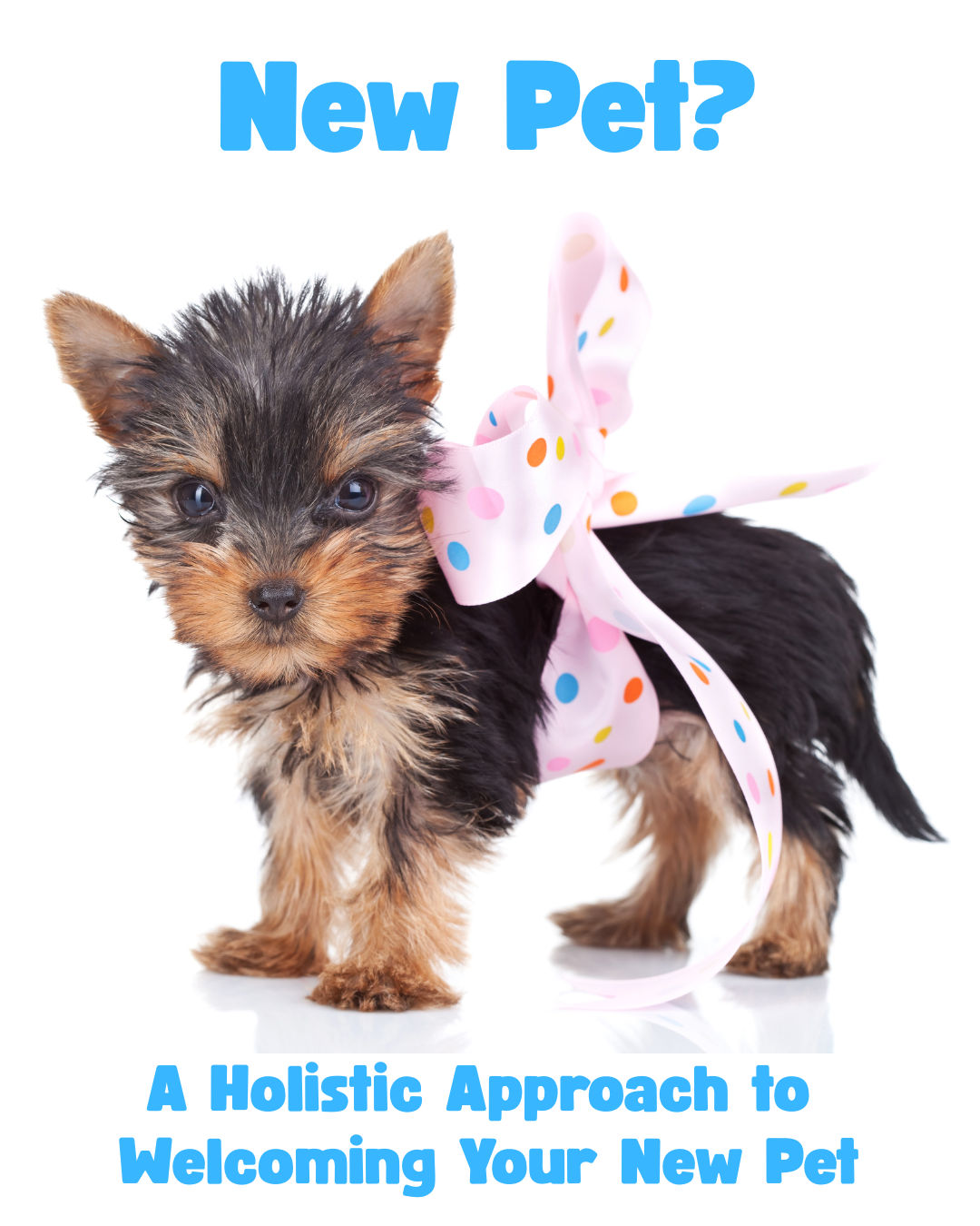 A Holistic Approach to Welcoming Your New Pet