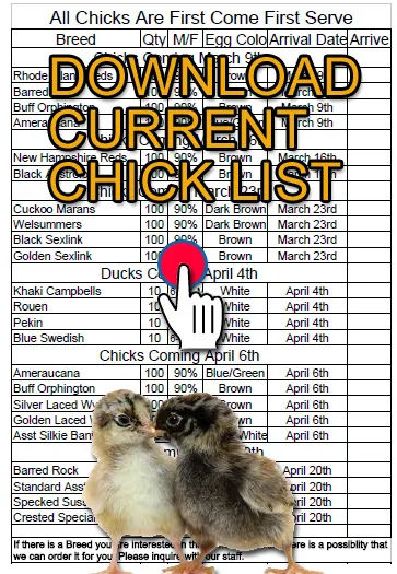 Download Chick List PDF