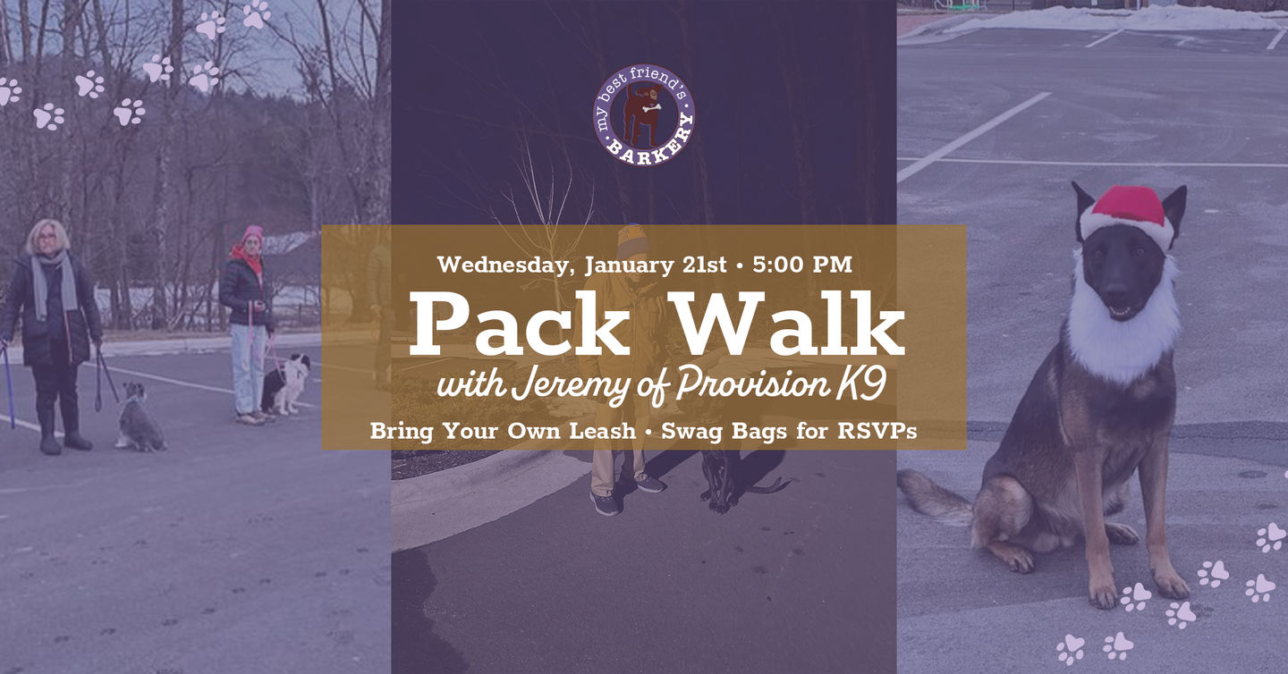 Image of Local Pet Event Pack Walk with Jeremy of Provision K9 - January 2026 Nearby