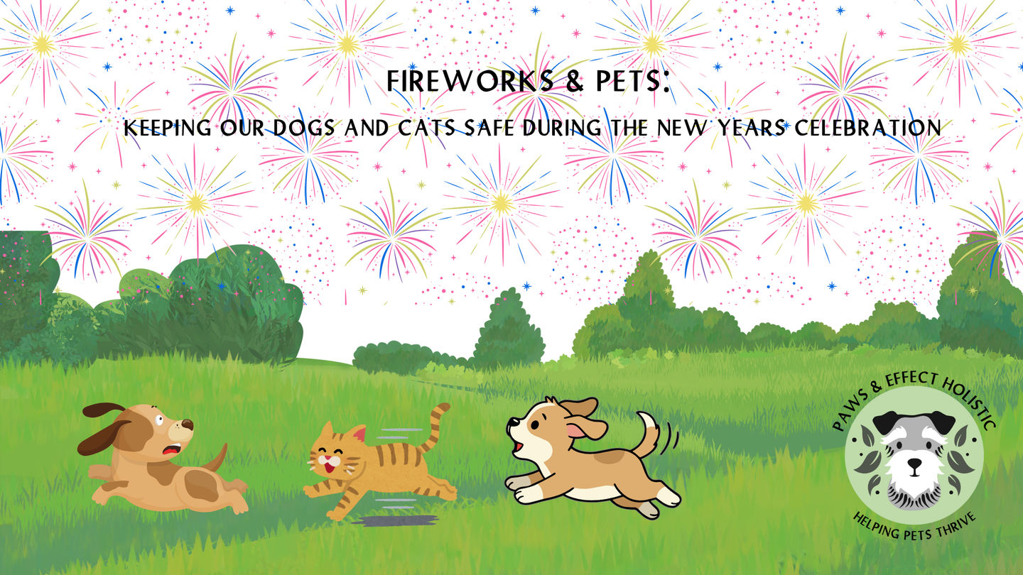 Fireworks & Pets: Keeping Dogs and Cats Safe During the New Year's Celebration