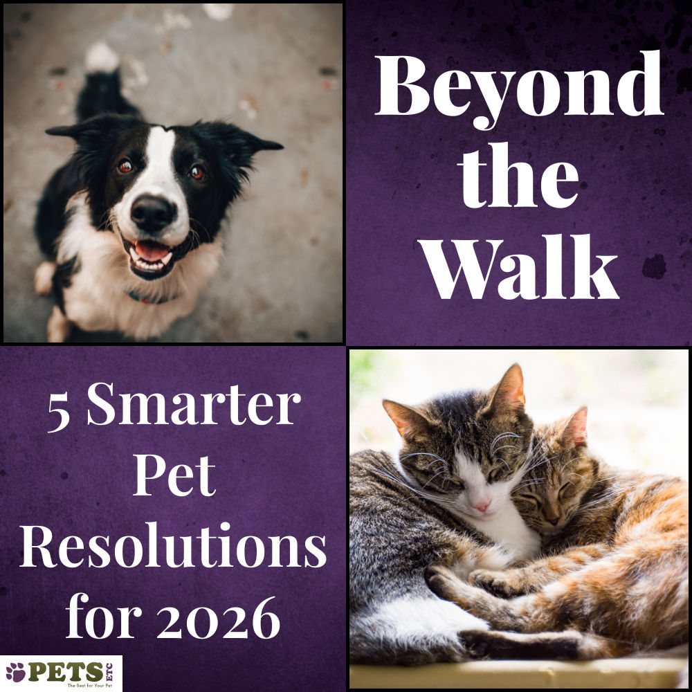 Beyond the Walk: 5 Smarter Pet Resolutions for 2026