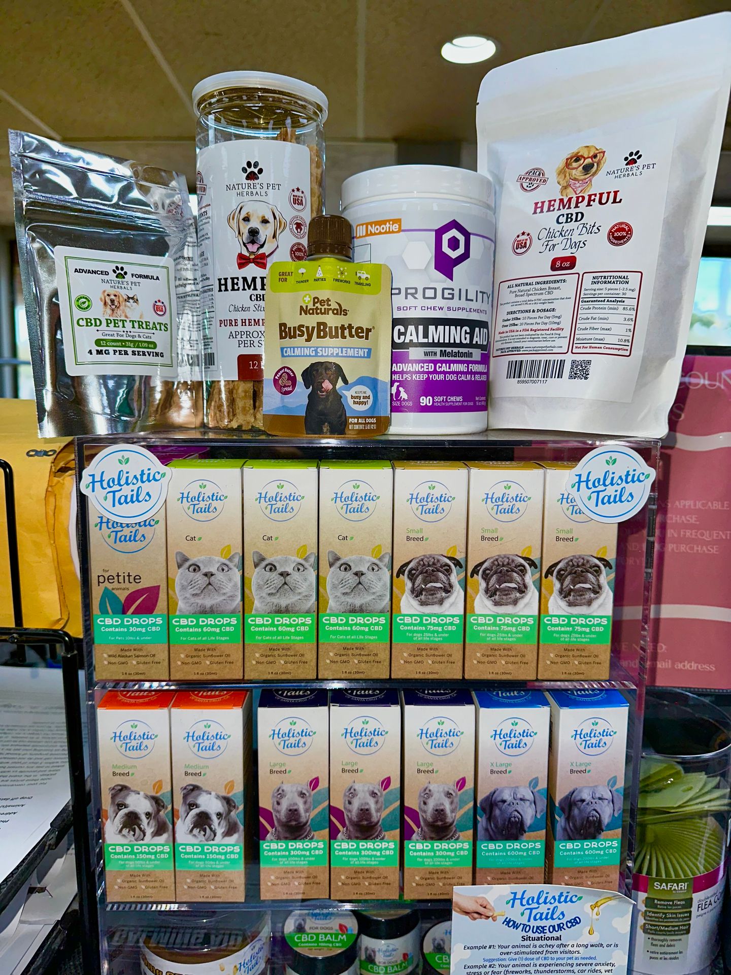Pets with Firework Anxiety? Here's Your Solution!