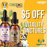 Image of CBD Dog Health | $5.00 OFF VITALITY Tinctures Promotion in Irwin