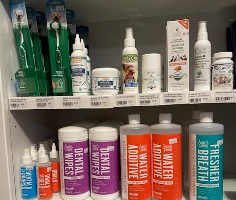 February is Pet Dental Health Month