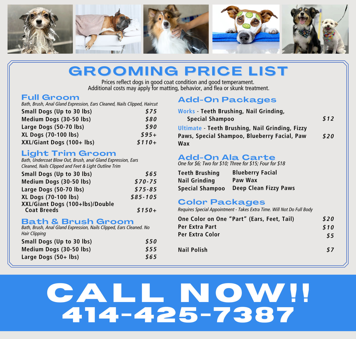 Call 414-425-7387 for grooming
