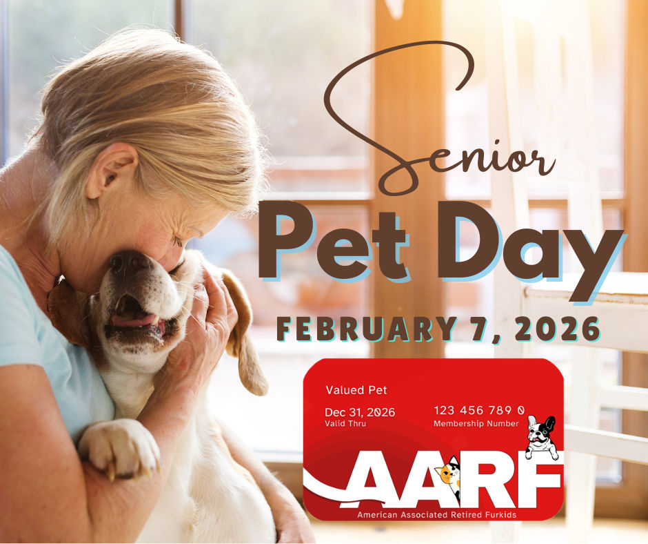 Image of Local Pet Event Senior Pet Day with Albert's Dog Lounge-MUKWONAGO Nearby